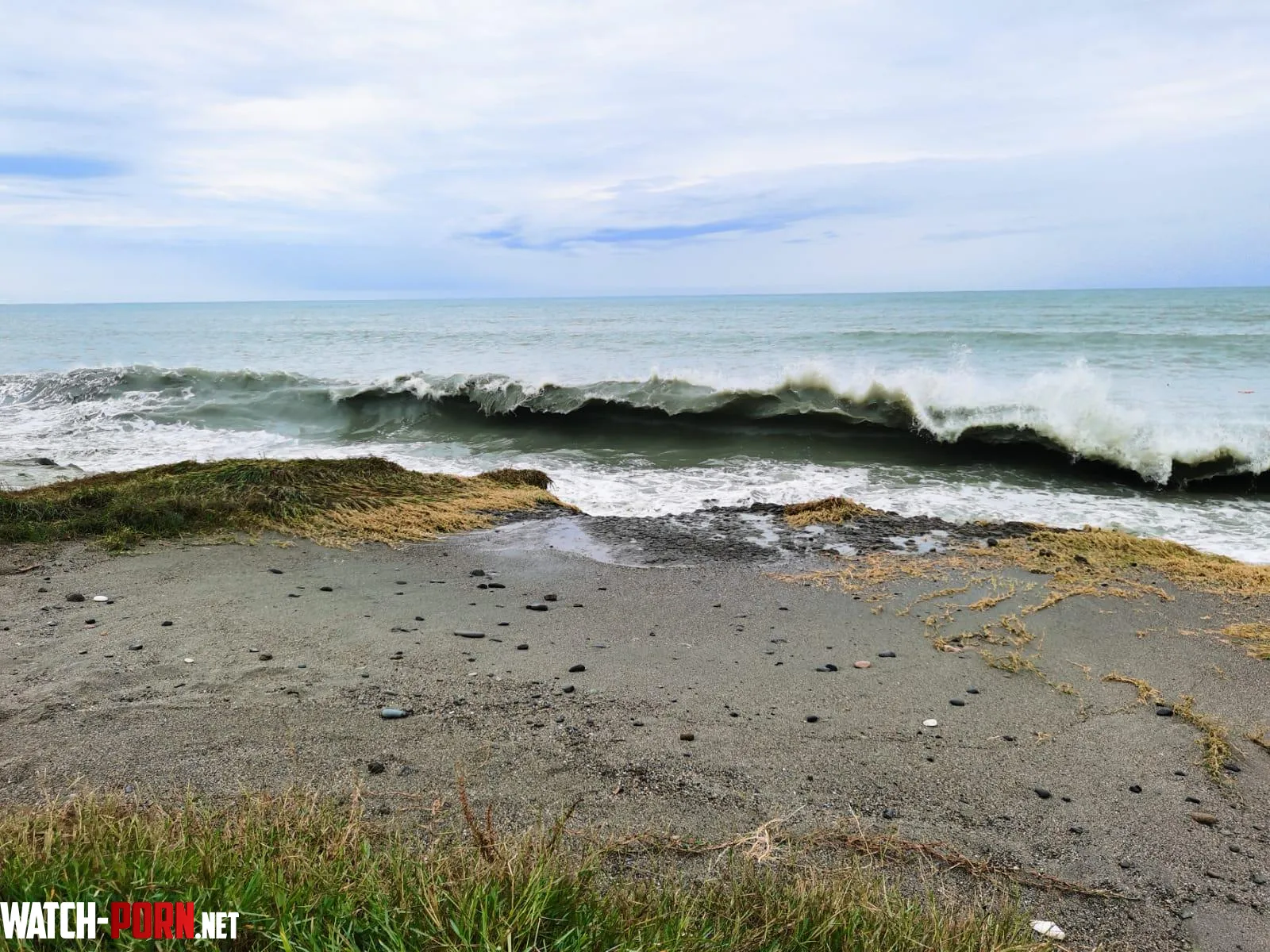 Sandy beach and seaweed by Tangcityshop