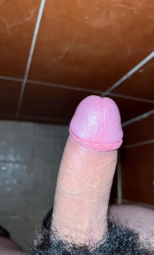 Thumbnail Showering at 18: Plastic_Emu_5863 Shares