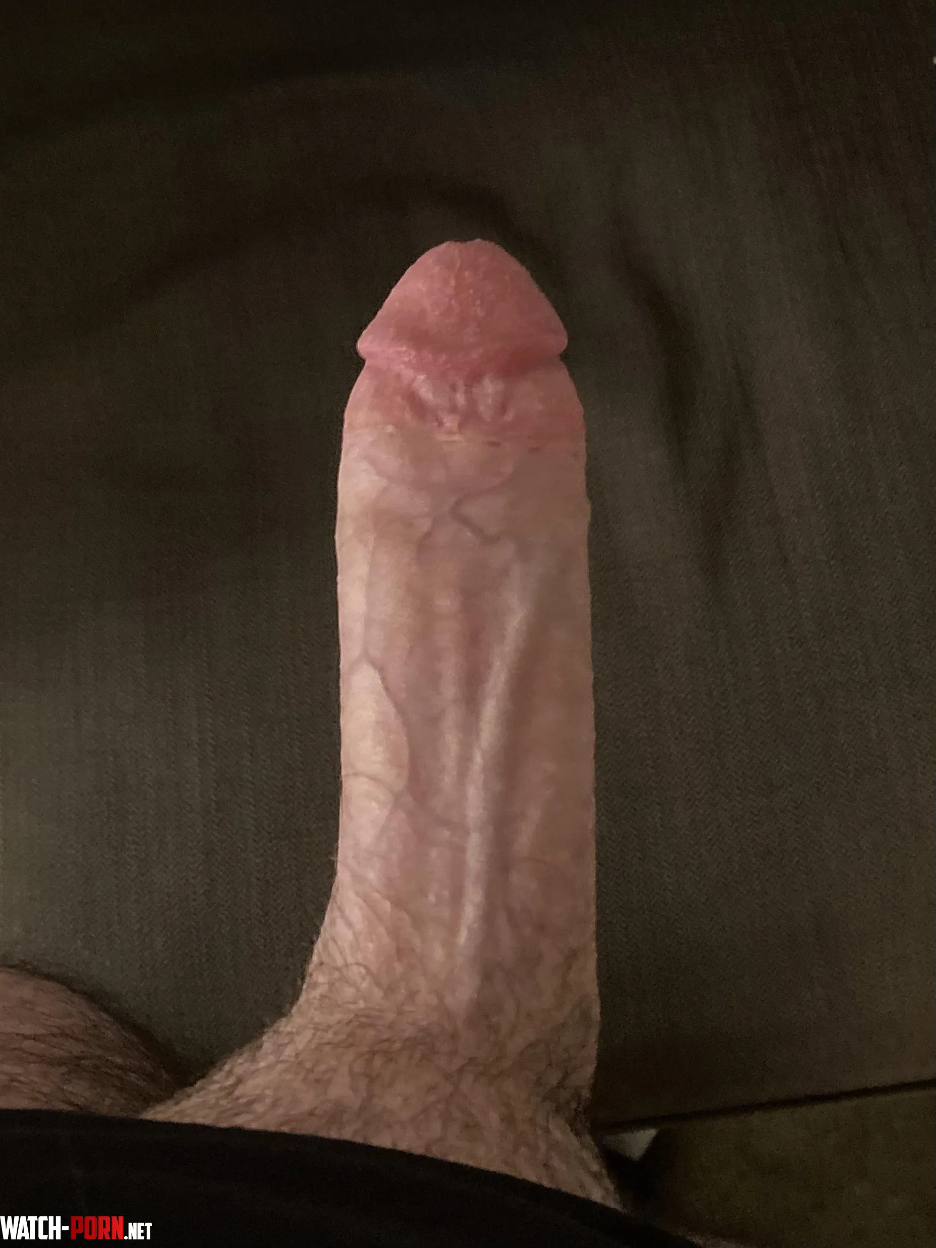 My dick is way too fuckin big for someone with this much anxiety  by 4LR34DY-D34D