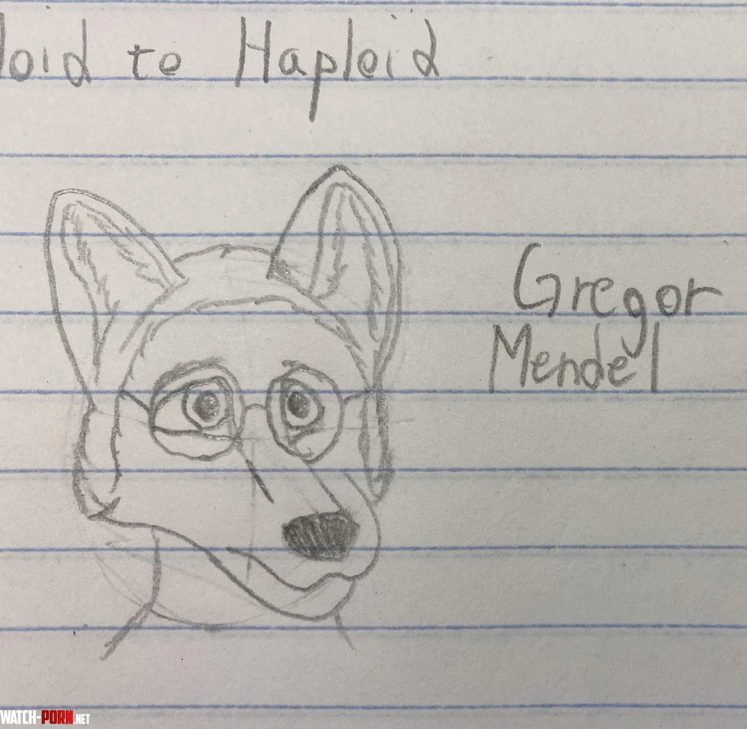 I drew Gregor Mendel as a furry 3 by Kassler_Scott