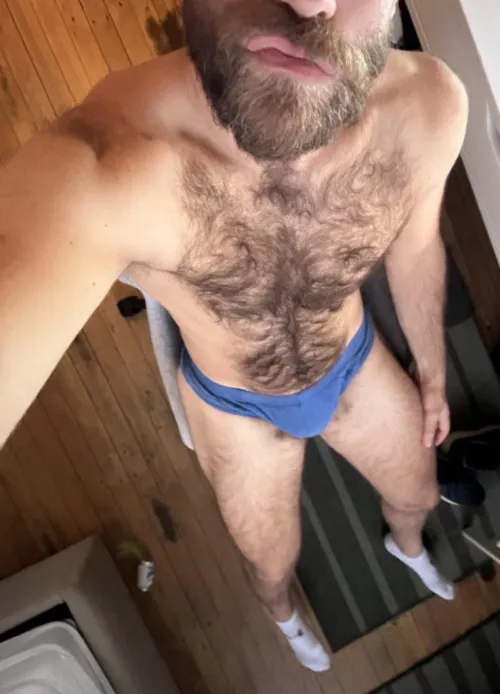 Thumbnail Blue Briefs by OtterDude69 in the InsanelyHairyMen Category