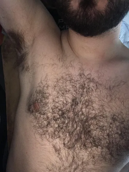 Thumbnail Just Turned 23: Insanely Hairy Update by hairycollegegay in the InsanelyHairyMen Category