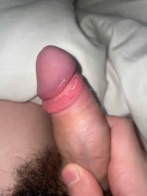 Thumbnail Exploring the World of Foreskin with Pretty-Bison-9140