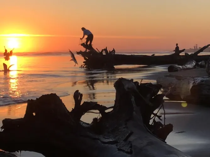 Thumbnail Taft Beach Oregon: Where Scenic Beauty Meets Serenity