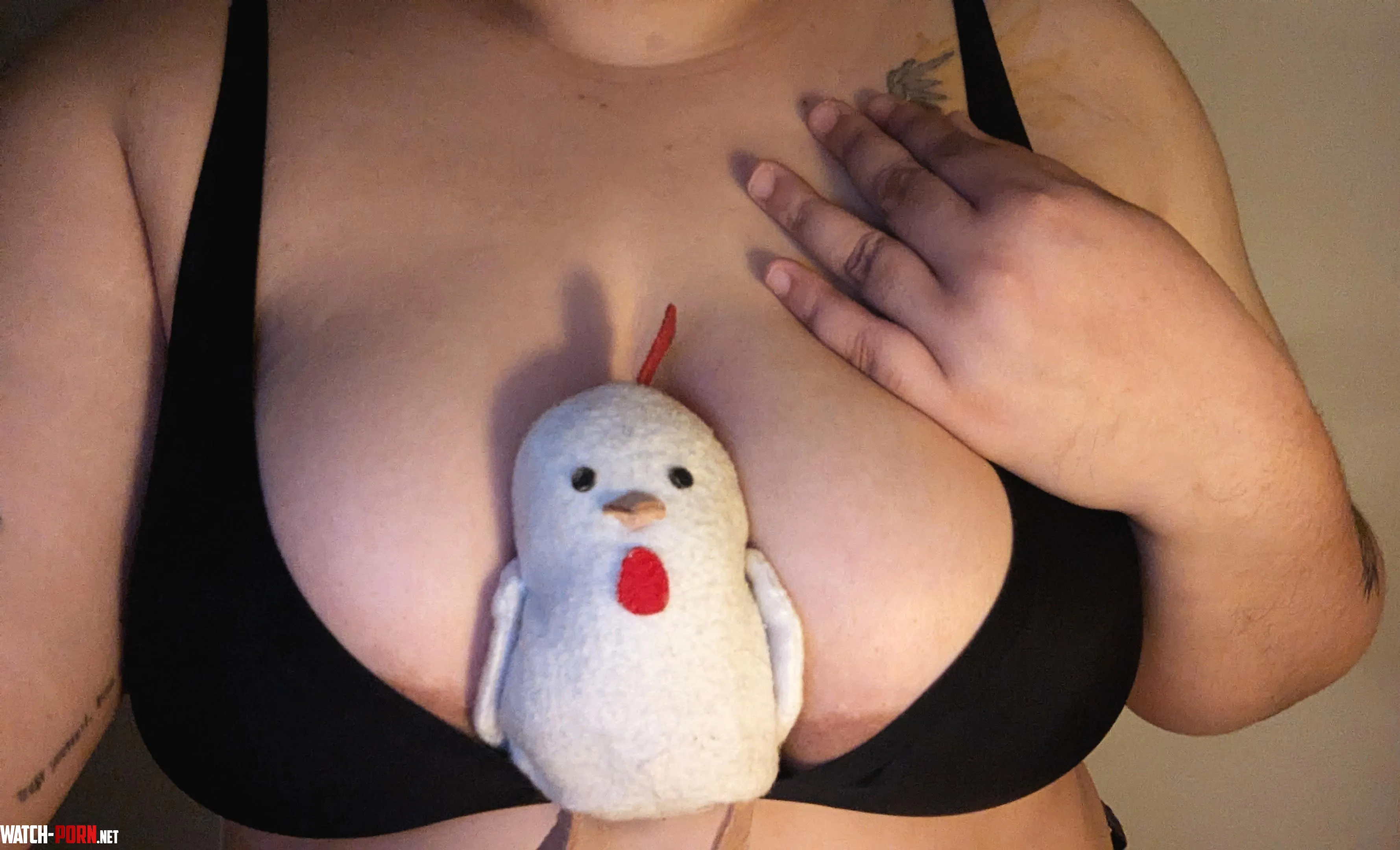 Funny chicken in between my tits  by throw-y0r-m0ther