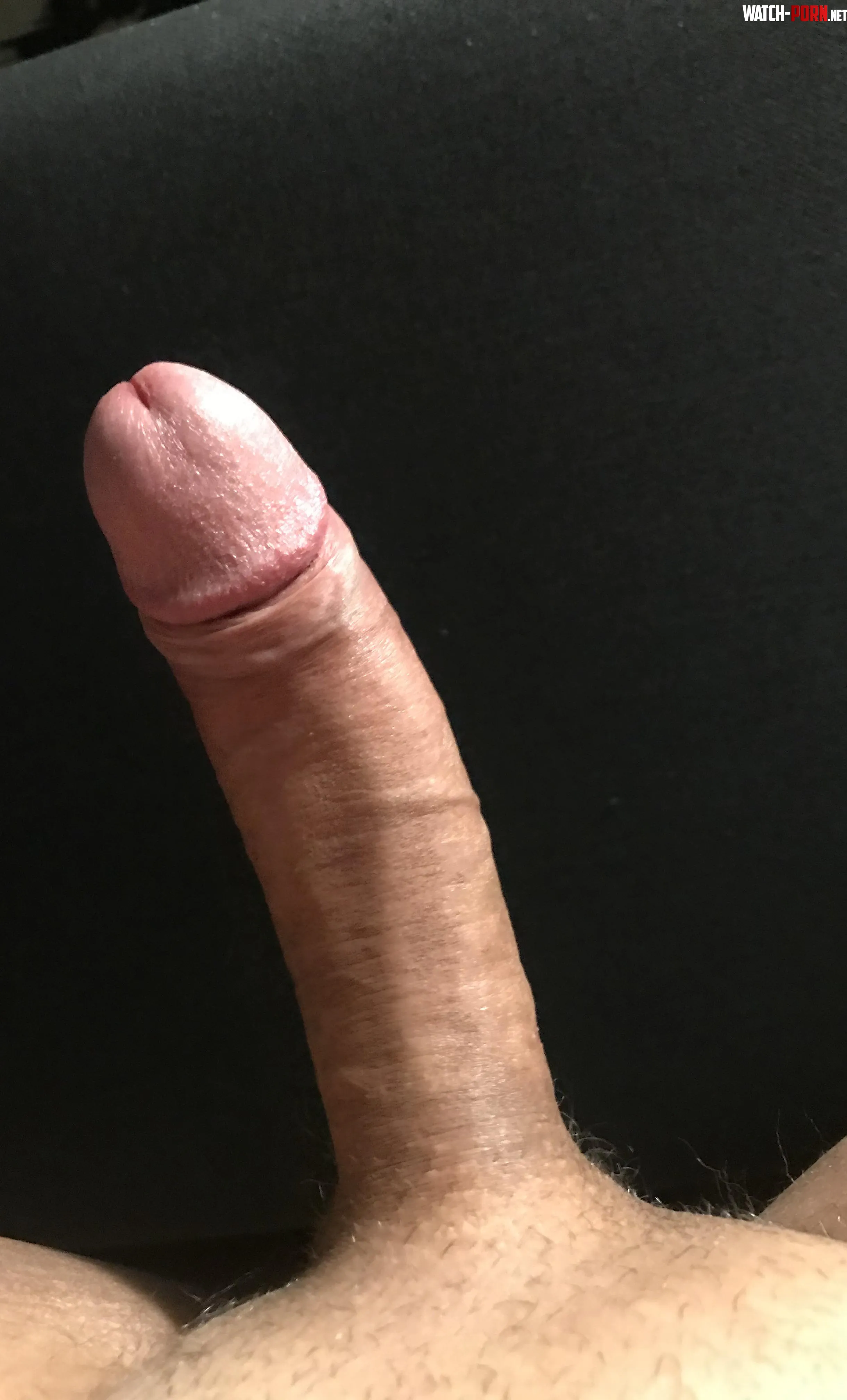 Please rate my cock  dm if you want my twitter with all of my cumshots  by Curious_Mortgage_369