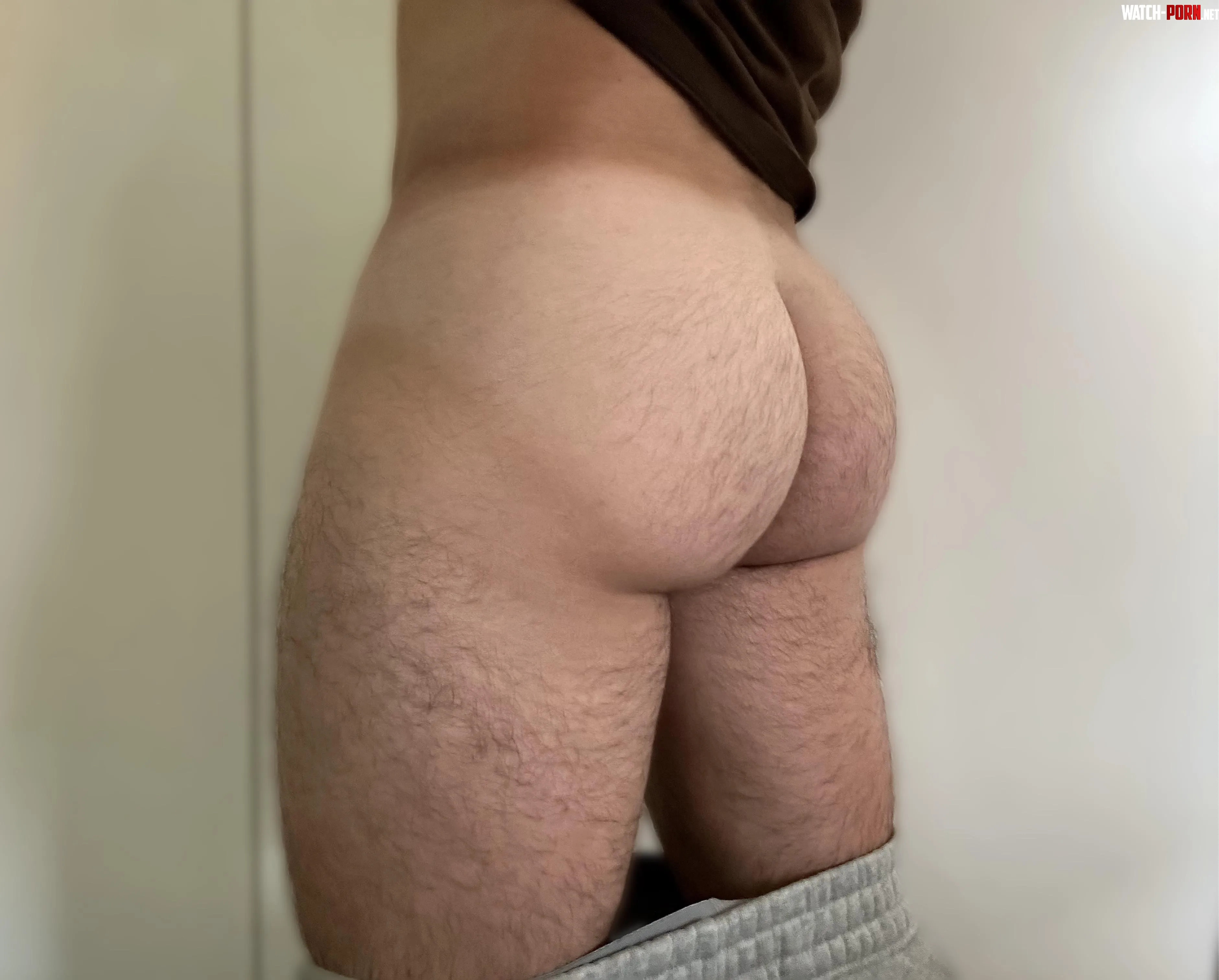 Wanna breed my hairy butt  by RevolutionaryPick8