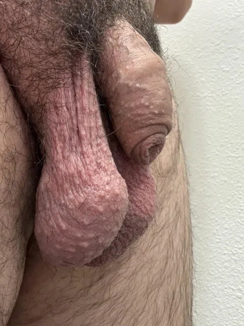 Thumbnail Insight into Balls 38 by HairyHornyCpl in the Balls Category