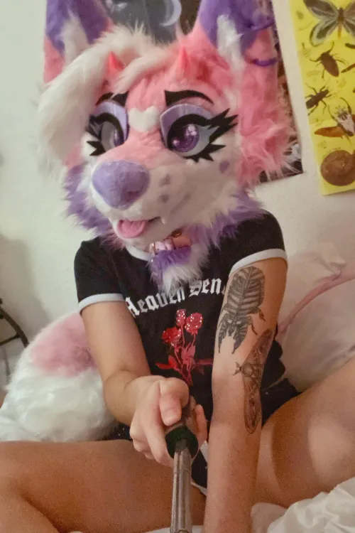 Thumbnail Arf UwU Alert! Check out BonesAndSalt's New Fursuit