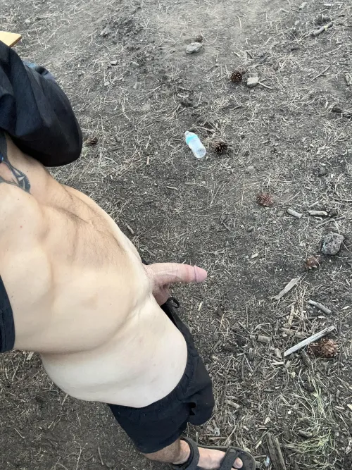 Thumbnail Naked Outdoor Bliss: Exploring Freedom and Joy | tiger_cock69