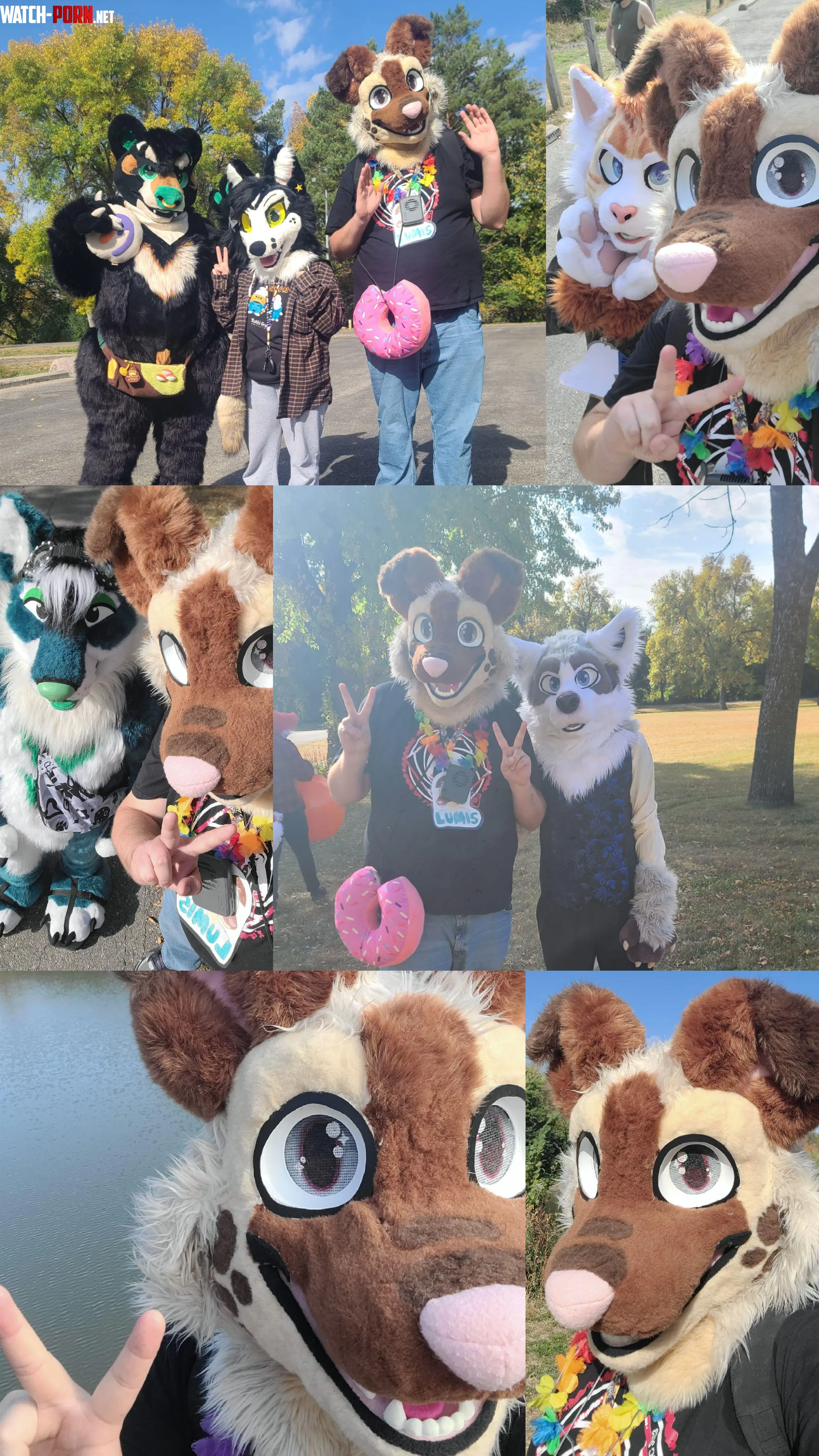 Lumis the Dog went to a small Fargo furry meetup by MaestroIgnitex