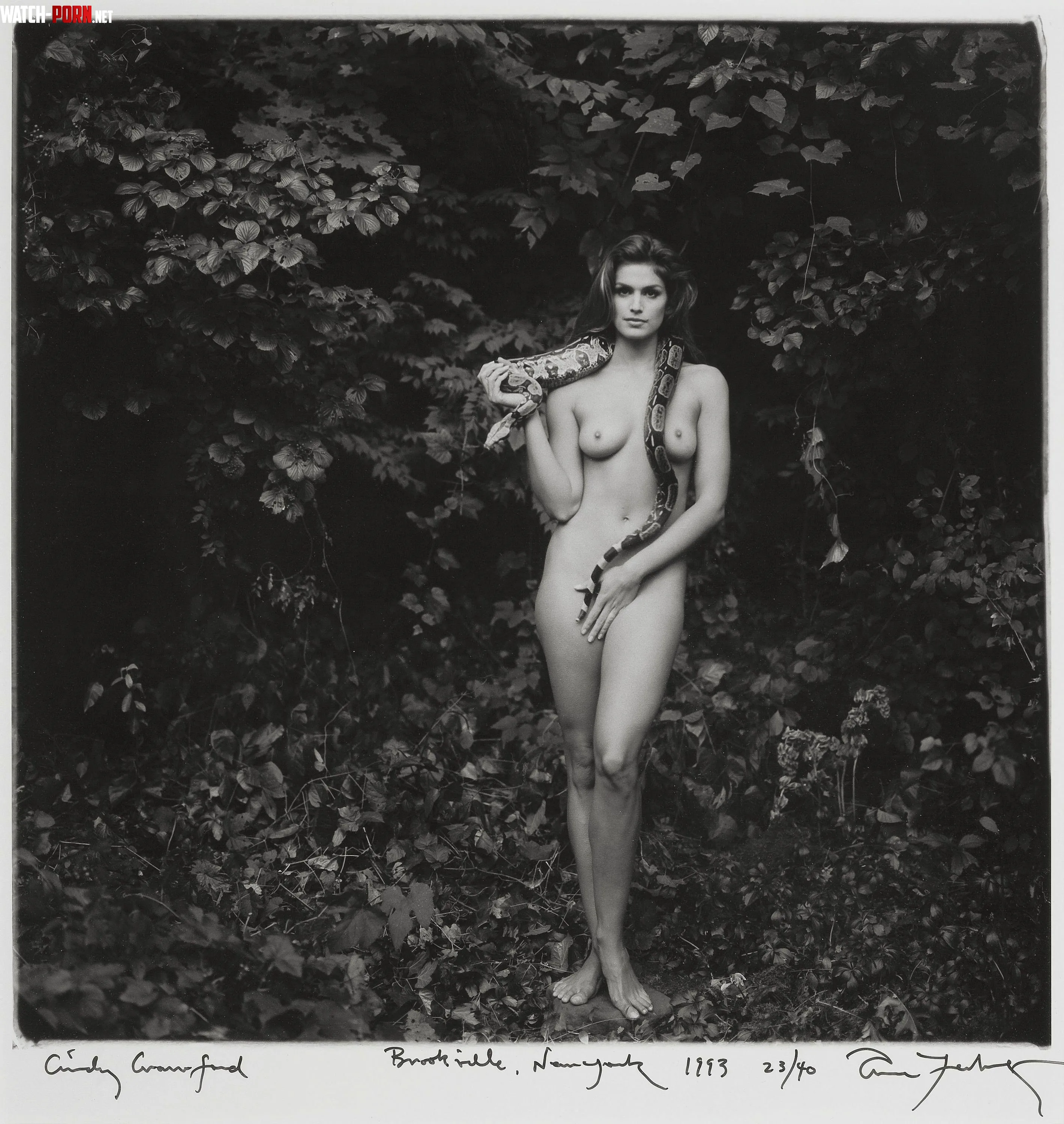 Cindy Crawford  by QuickResidentjoe