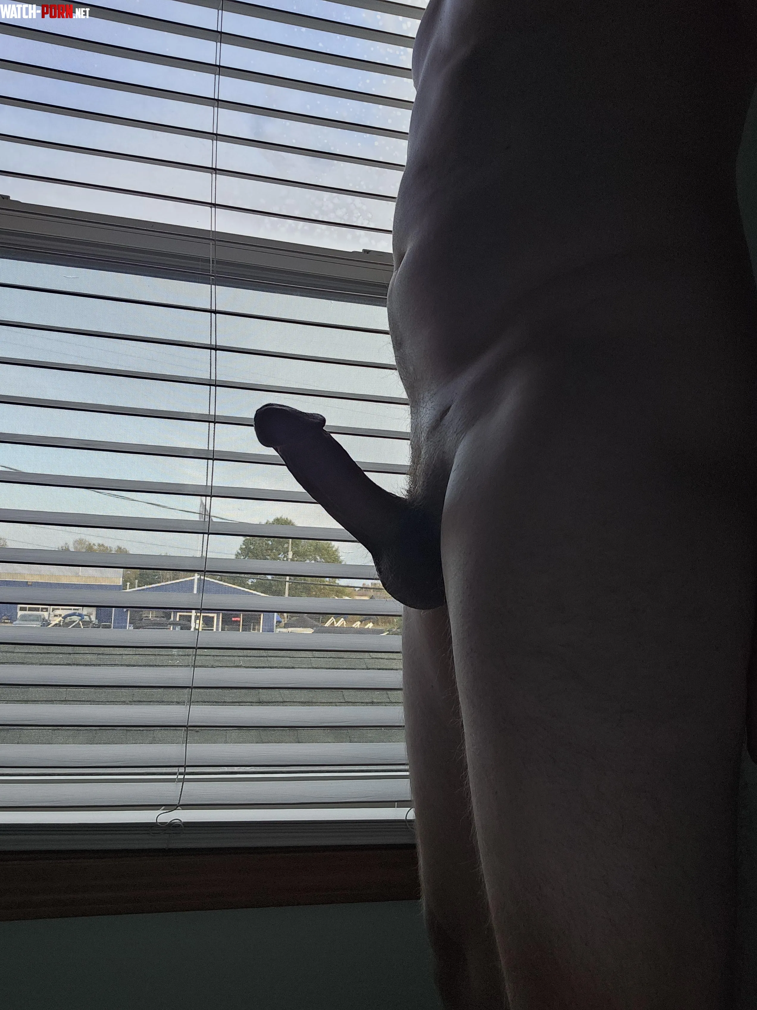 How much do you rate that cock in the window  by big_load_baldwin