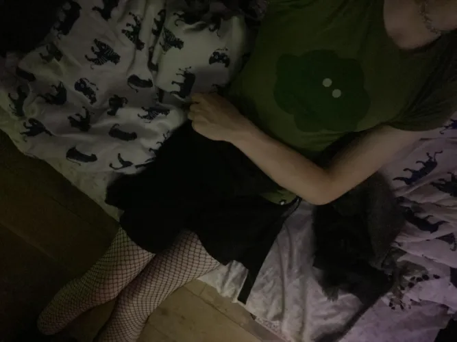 Thumbnail Pockeywn_nsfw Shares 'low quality but still cute' in the femboy Category