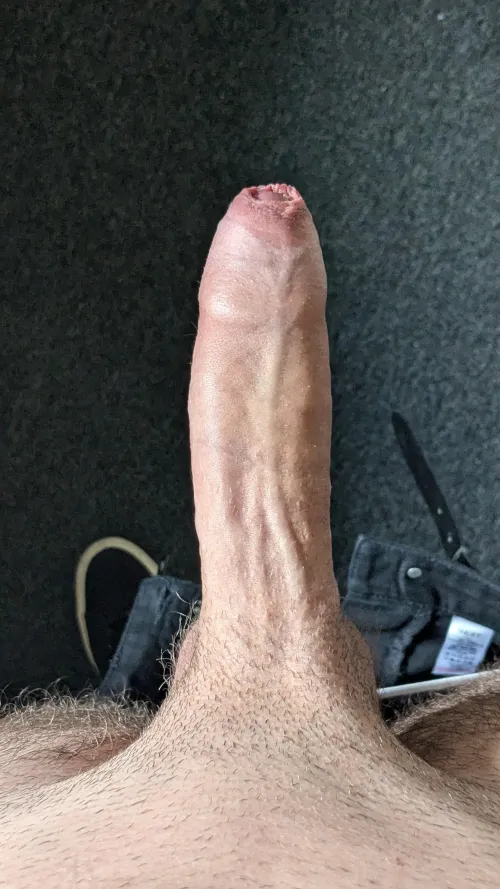 Thumbnail Morning Wood Adventures: Anyone gonna help out with this morning wood 19