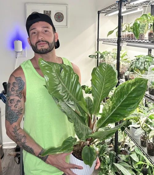 Thumbnail notorious_dani_boy: Gays with Plants and Tattoos Lead the Line in gaybrosgonemild