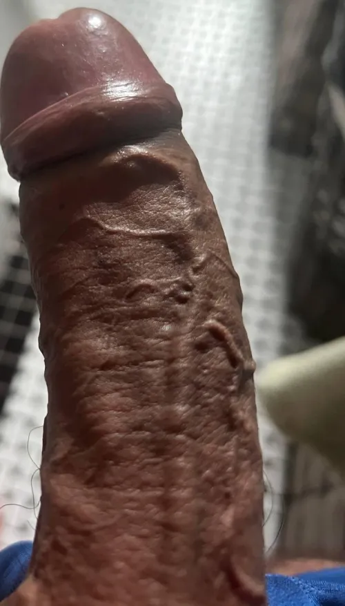 Thumbnail Uncover the Appeal of Brown, Veiny, and Uncut by indigo_visions