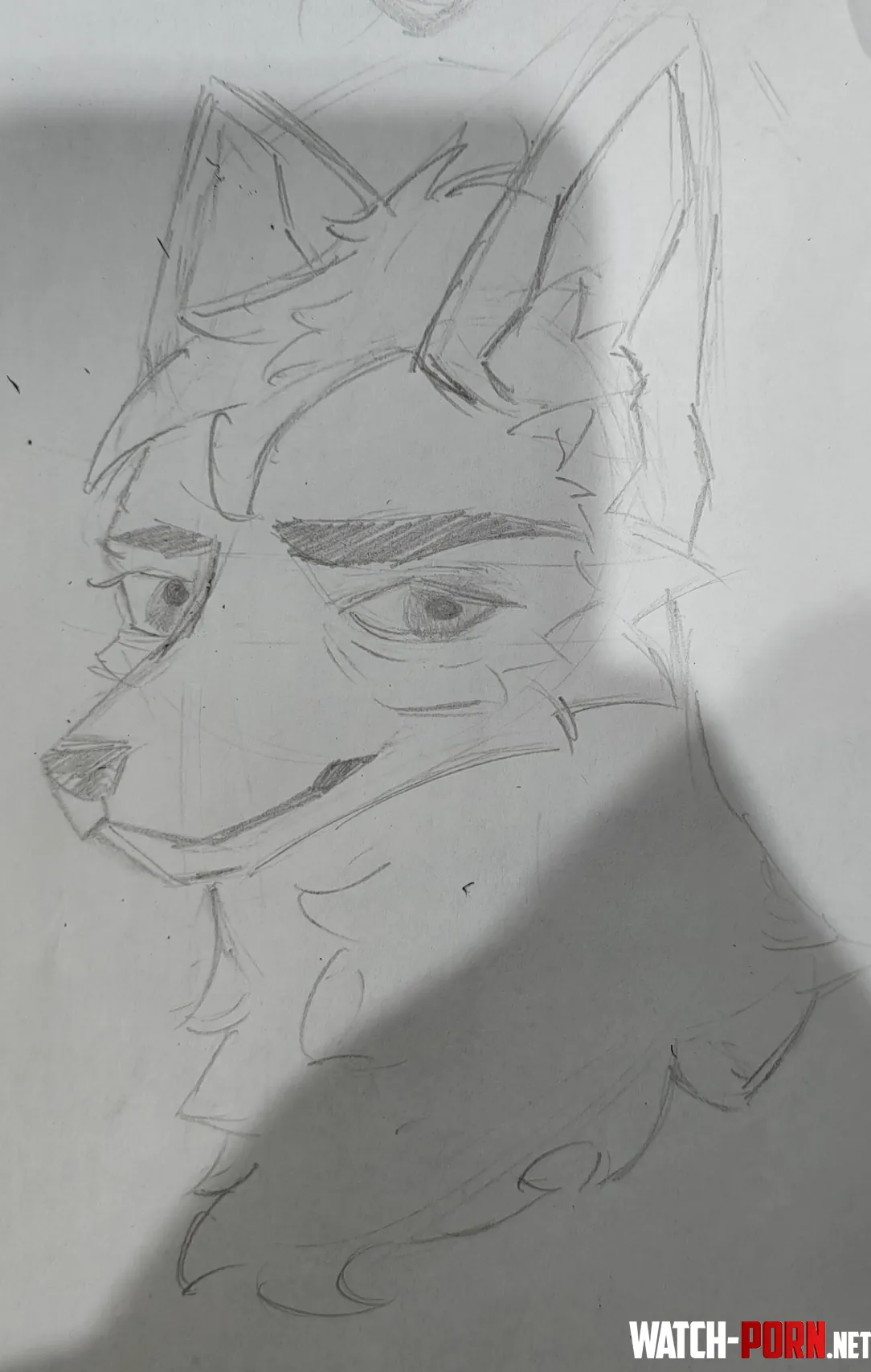 My drawing skills of a furry is getting a bit improved by SHIu_Eo