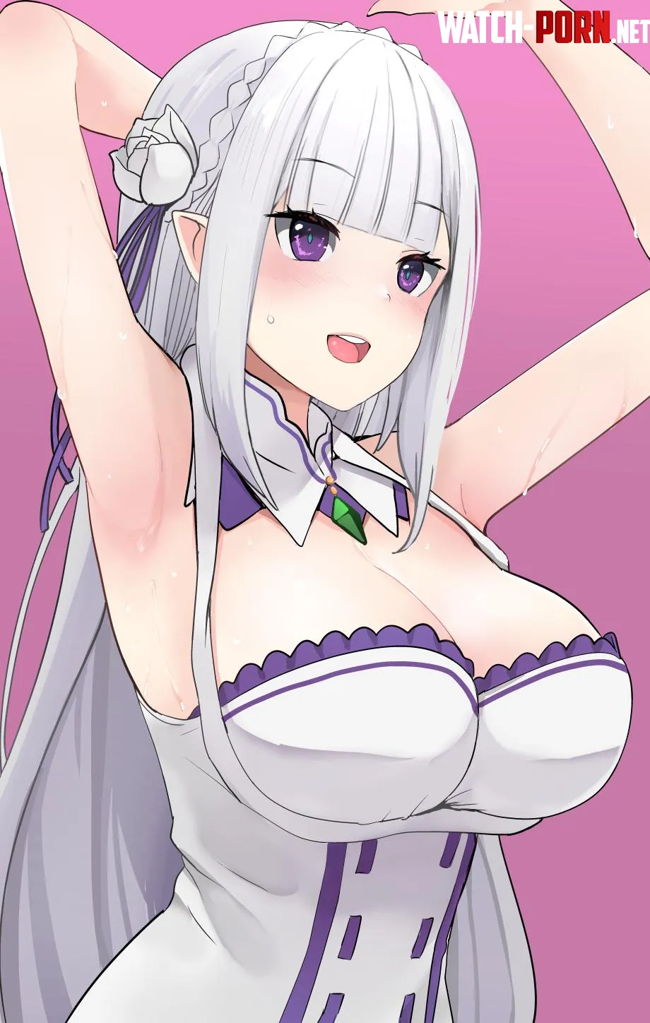 Emilia Re Zero by McKnight94