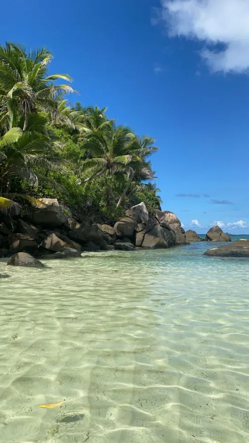 Thumbnail woodenrei Explores Praslin Island Seychelles' Natural Beauty