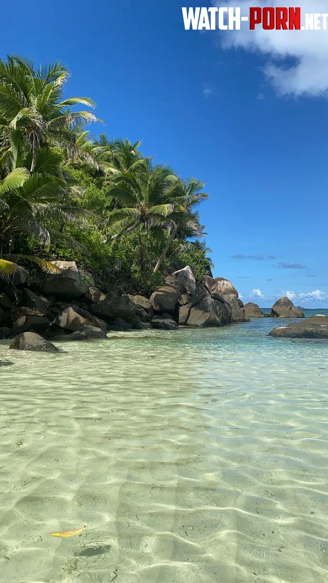 praslin island seychelles by woodenrei