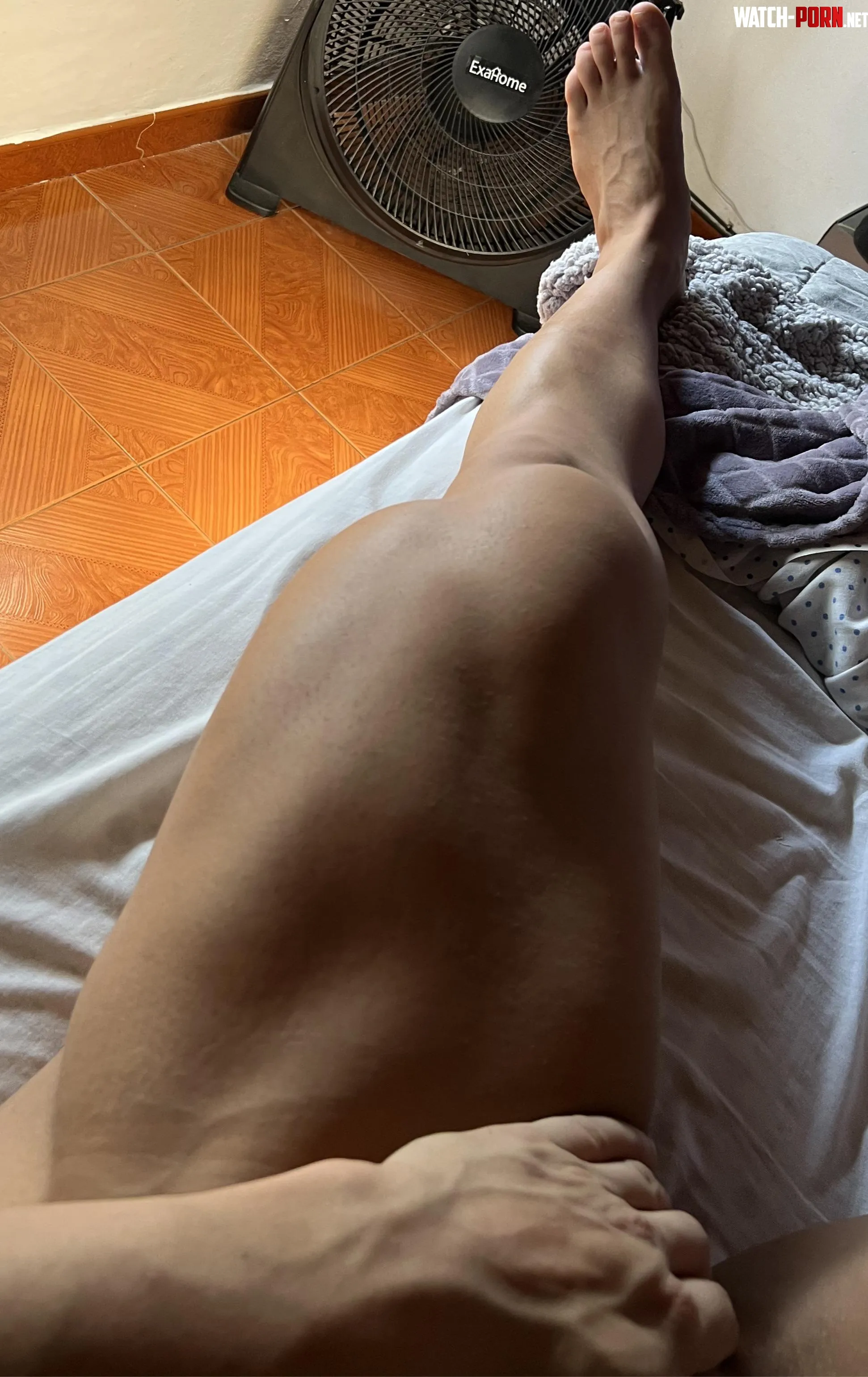 Legs  by Mrmusclegirl