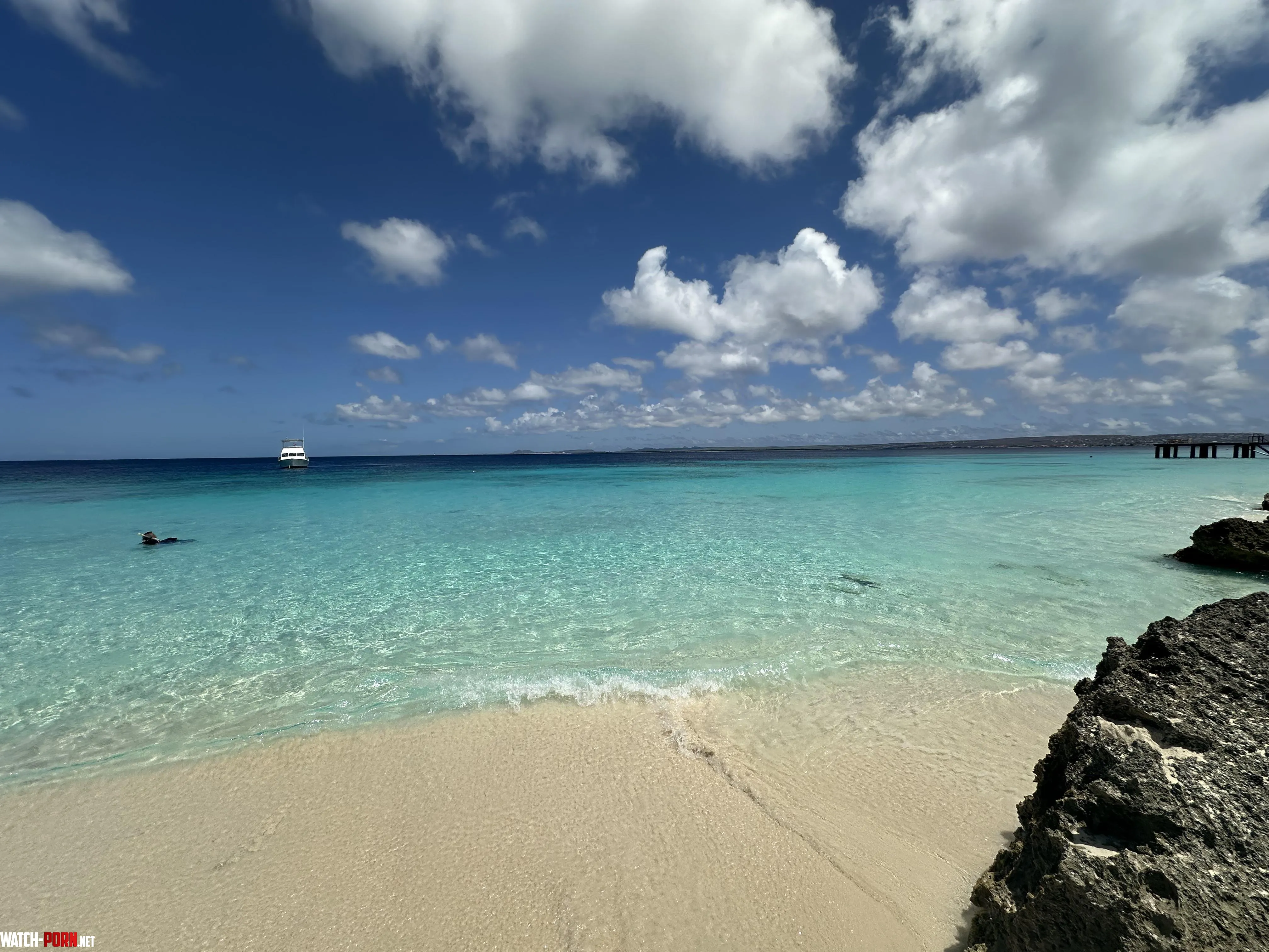 Bachelors Beach Bonaire by Brooklyn11209