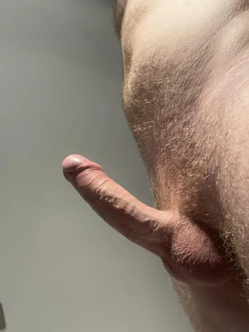 Thumbnail Big White Cock: National_Arm9398's Feature | penis