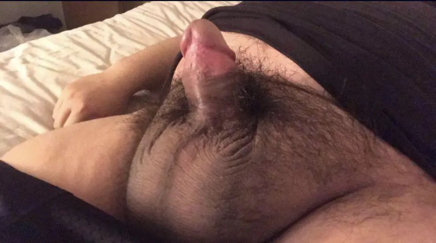 Thumbnail Lazy_Produce7898's Late-Night Hairy Cock Desire in the penis Domain