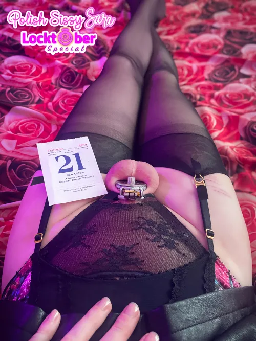 Thumbnail Sissy Chastity Diaries: Countdown to a Smaller Cage by urfavsissysub