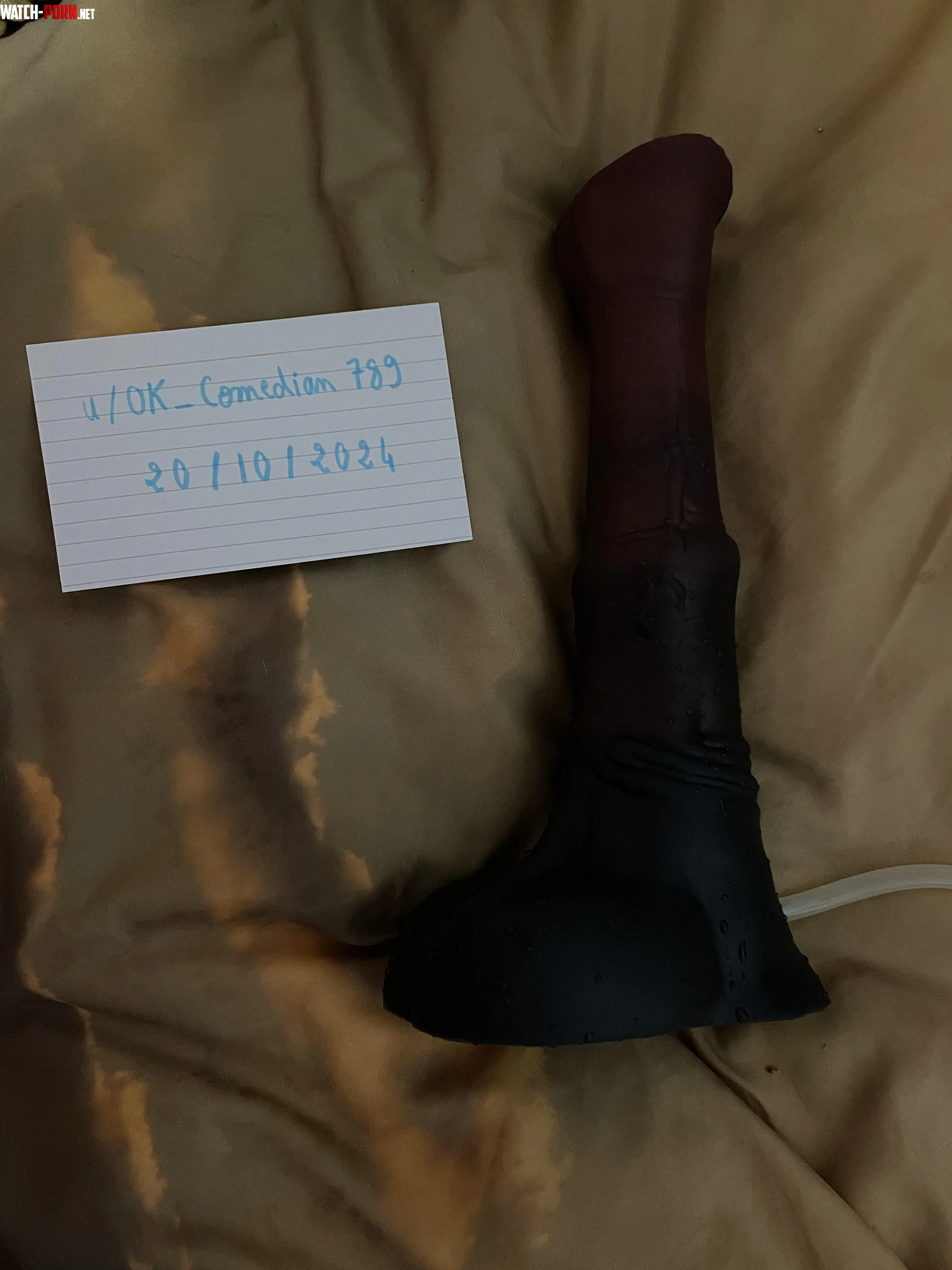 WTS  CANUS Bad Dragon Signature Chance Flared MM  Cum Tube 120USD Shipped  by Ok_Comedian789