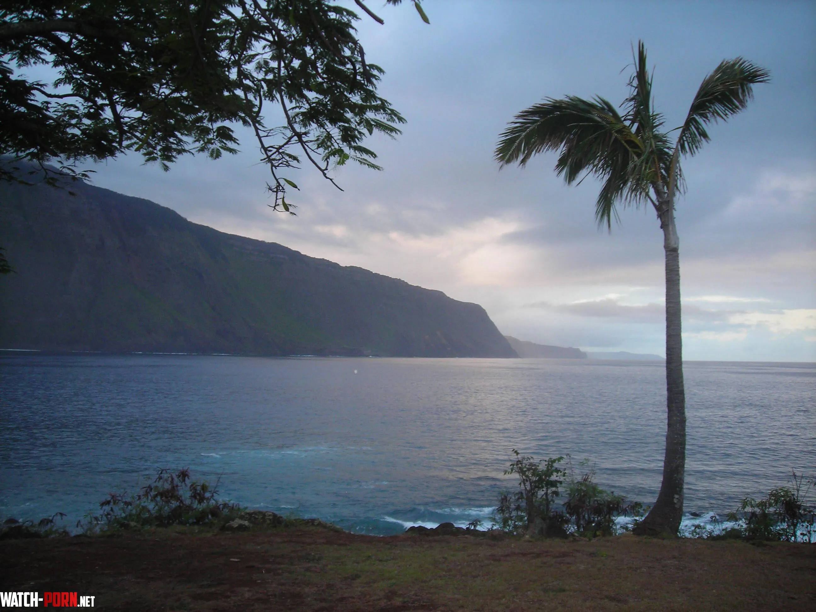 Cliffs and palm  by colapepsikinnie