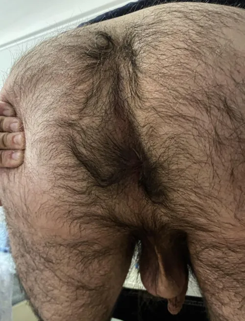 Thumbnail Alarmed_Duty_4953 Shares Their Insanely Hairy Ass Confessions