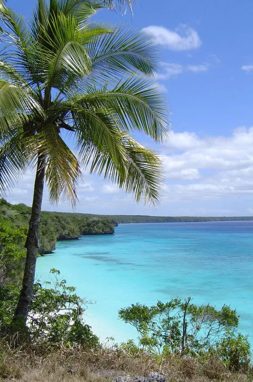 Thumbnail Embarrassed_Wish4746 Explores Lifou Loyalty Islands in New Caledonia