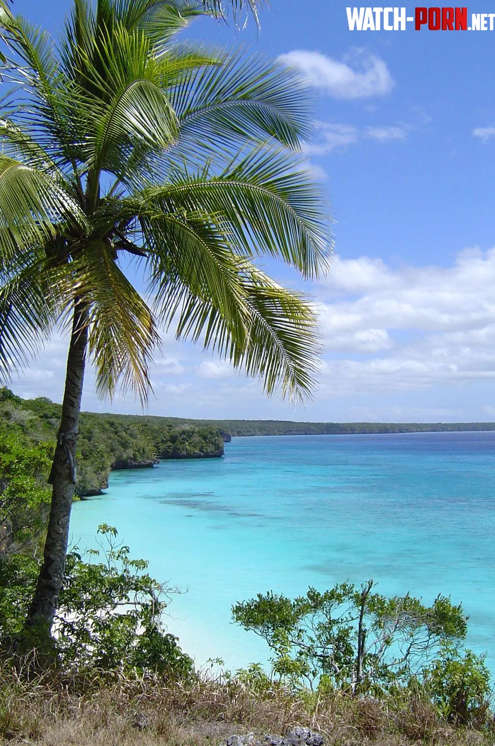 Lifou Loyalty Islands New Caledonia by Embarrassed_Wish4746