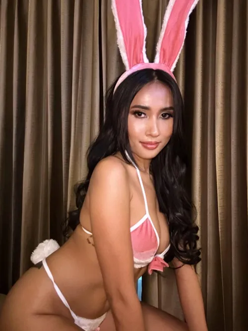 Thumbnail Playful Bunny Request: pocalovee123's BunnyGirls' Tease