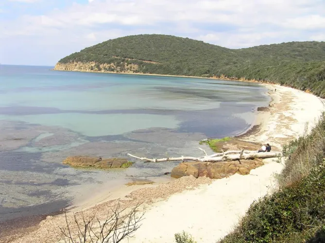 Thumbnail Explore the Tranquil Cala Violina Beach in Italy