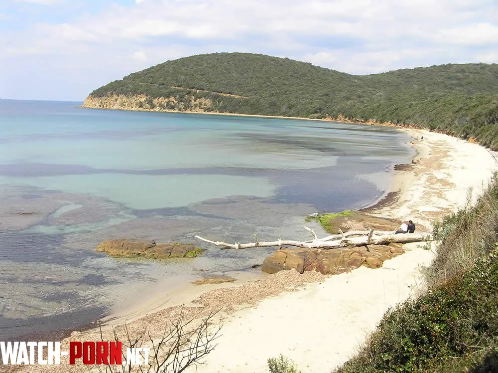 Cala Violina Italy by Unusual_Recover_1314