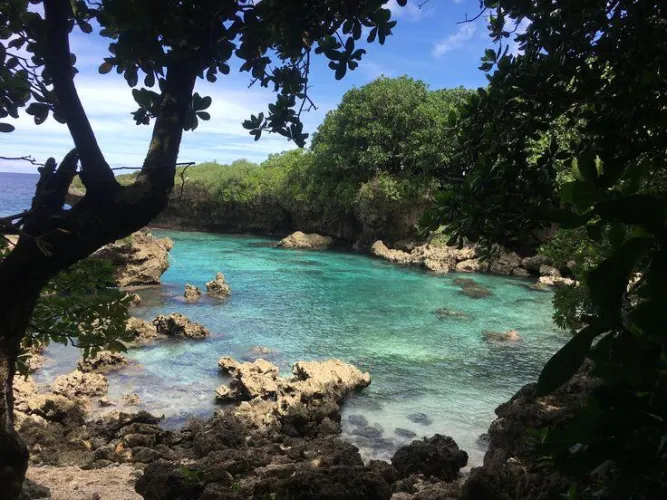 Thumbnail Hidden Cove Surrounded by Jungle Beach by colapepsikinnie