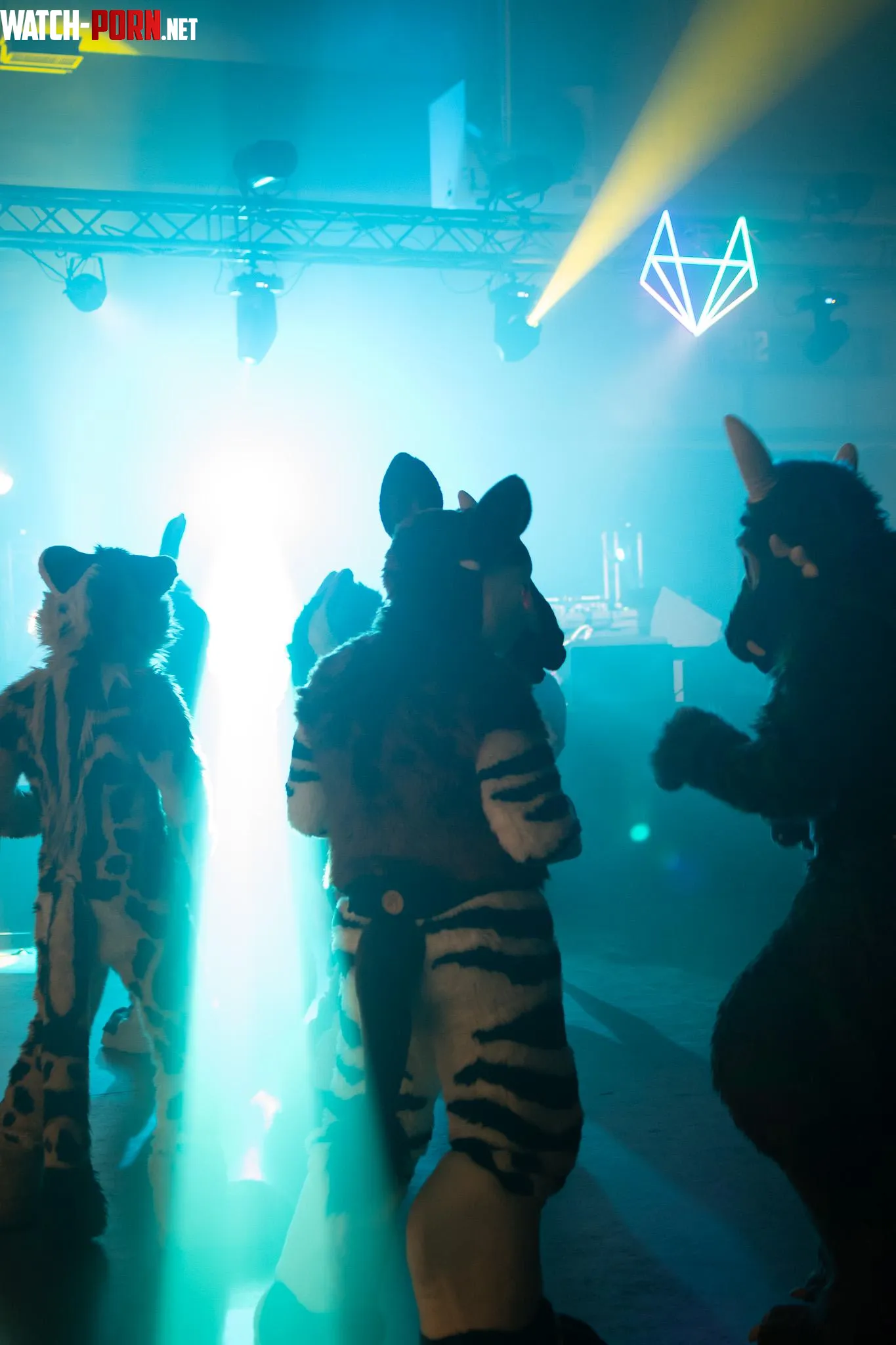 Furry club by Cold_Nose_Photos