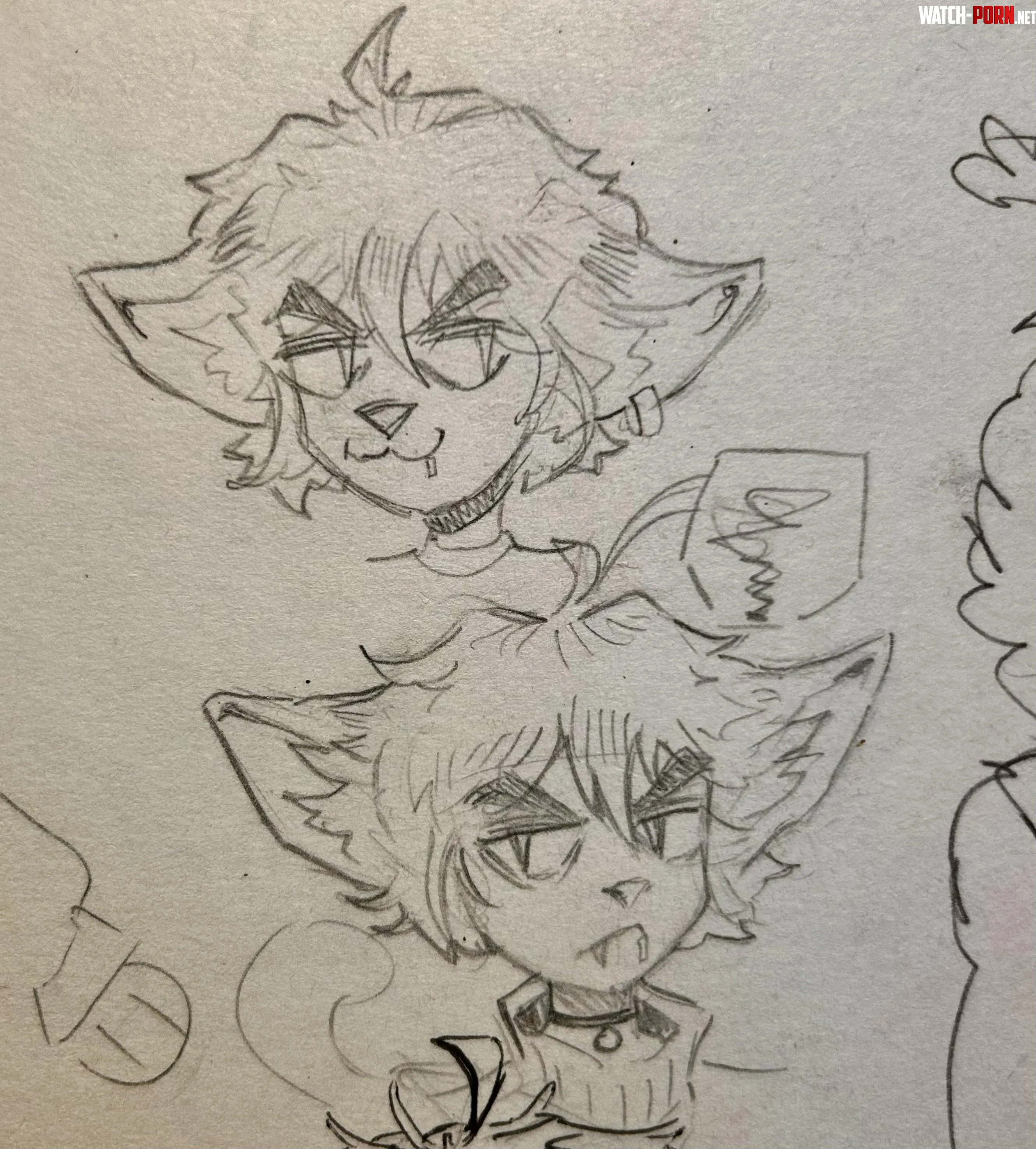 some old sketches of my fursona by anderthecat