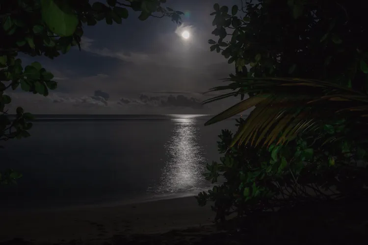 Thumbnail colapepsikinnie's Tranquil Moonlit Beach Escape