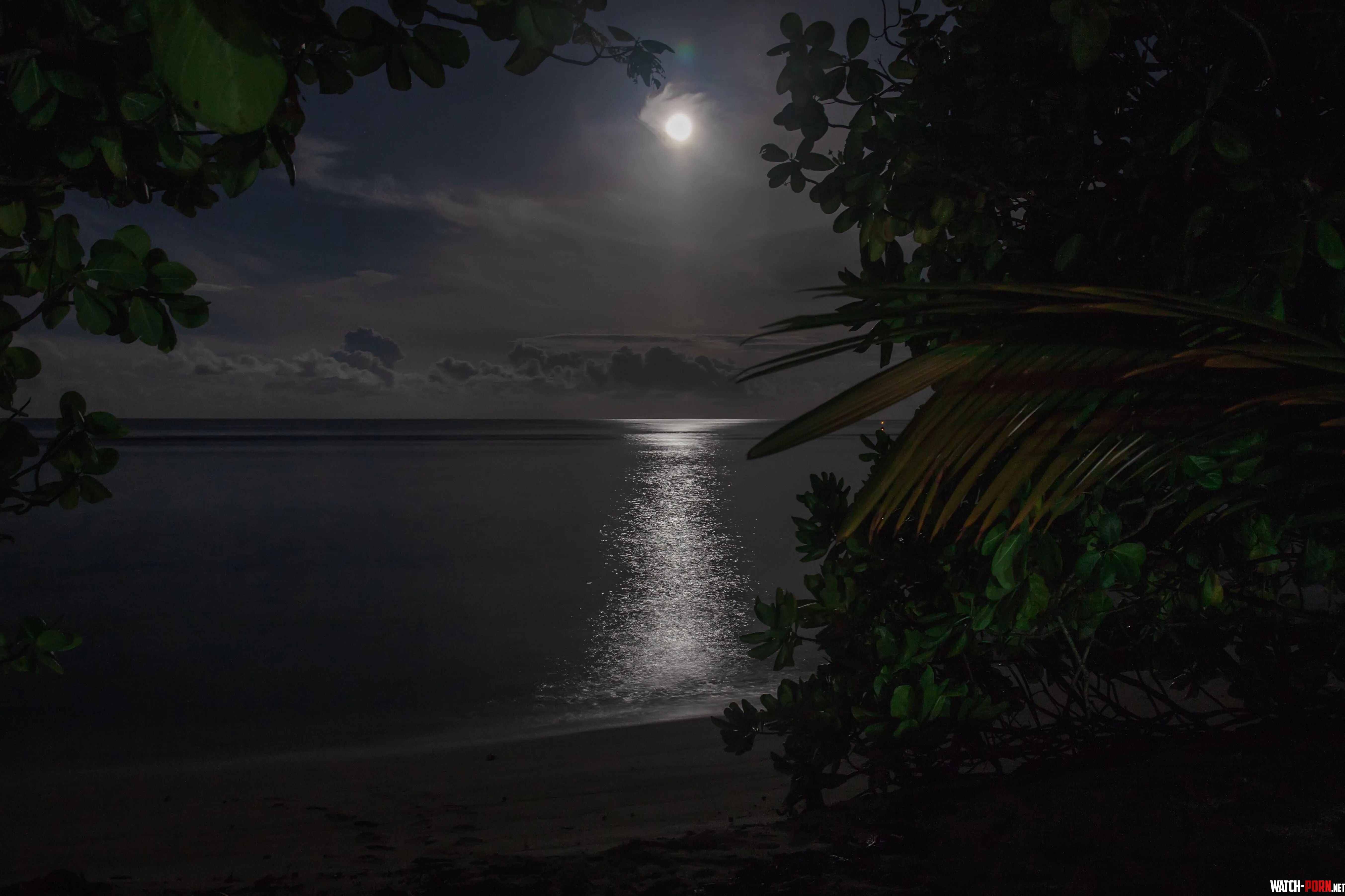 Calm beach in the moonlight by colapepsikinnie