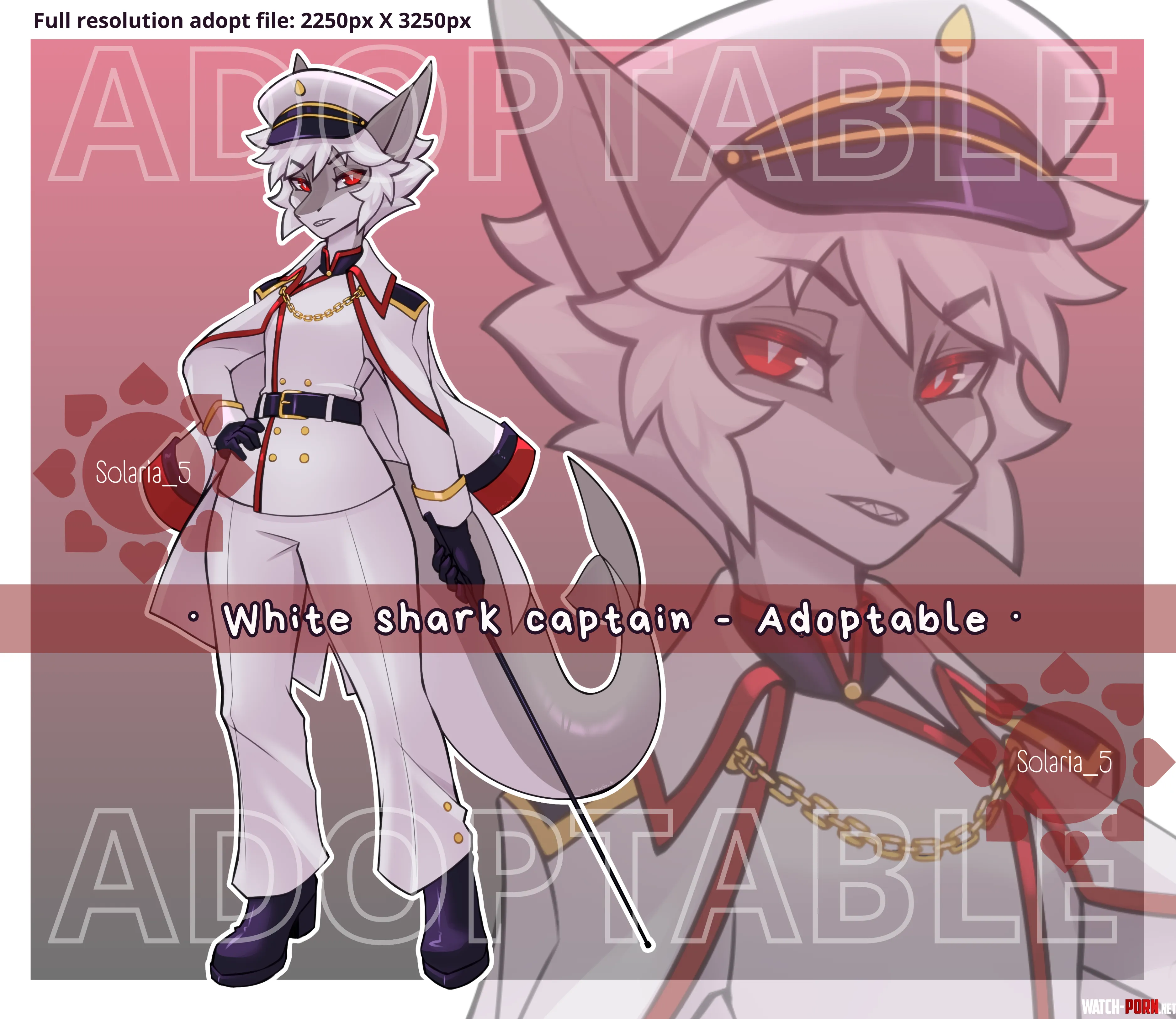 White Shark  Adopt Info in comments Art by Solaria5 by Solaria_5