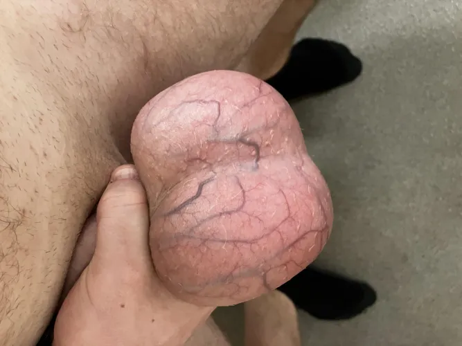 Thumbnail Exploring the World of Balls: Greg_green2607's Journey with Huge Balls