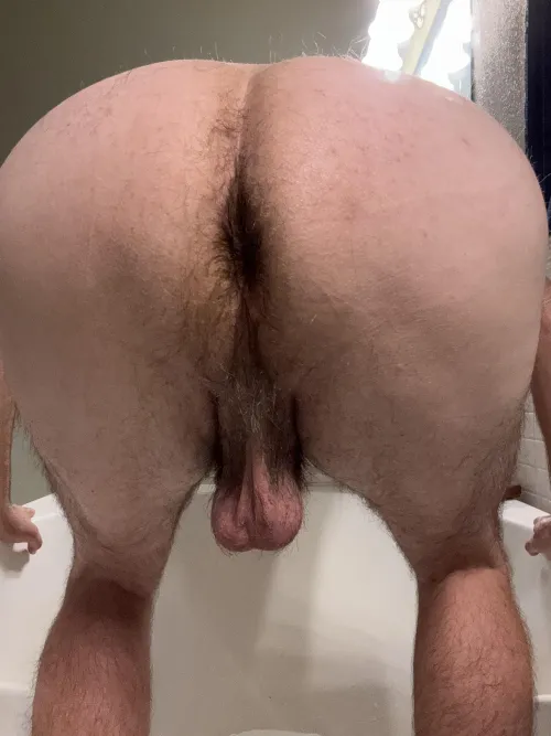 Thumbnail Revel in My Hairy Ass with Old_Wash_2459 in manass category