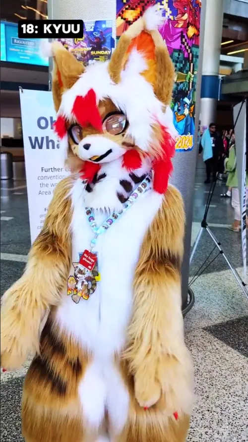 Thumbnail DJDavid98 Seeks Fursuiter Presence - Discover Kyuu McEnery Convention Center