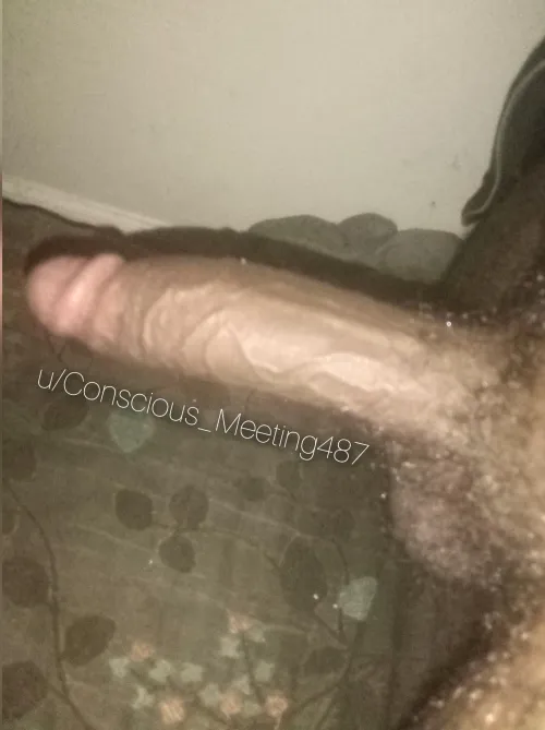 Thumbnail Friday Fun with Conscious_Meeting487 in ThickDick Category