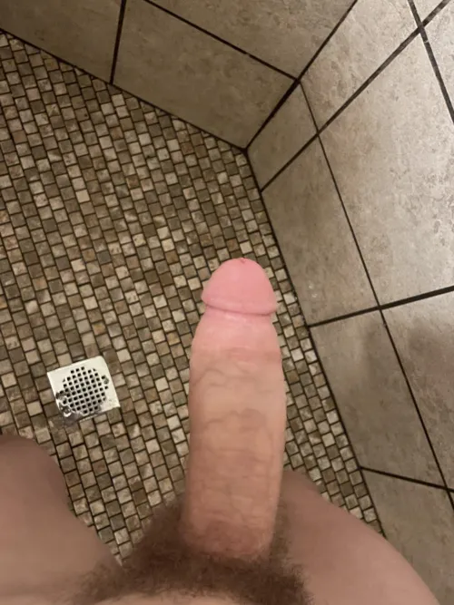 Thumbnail Wanna Sit On It? Exploring Adventures in ThickDick Category