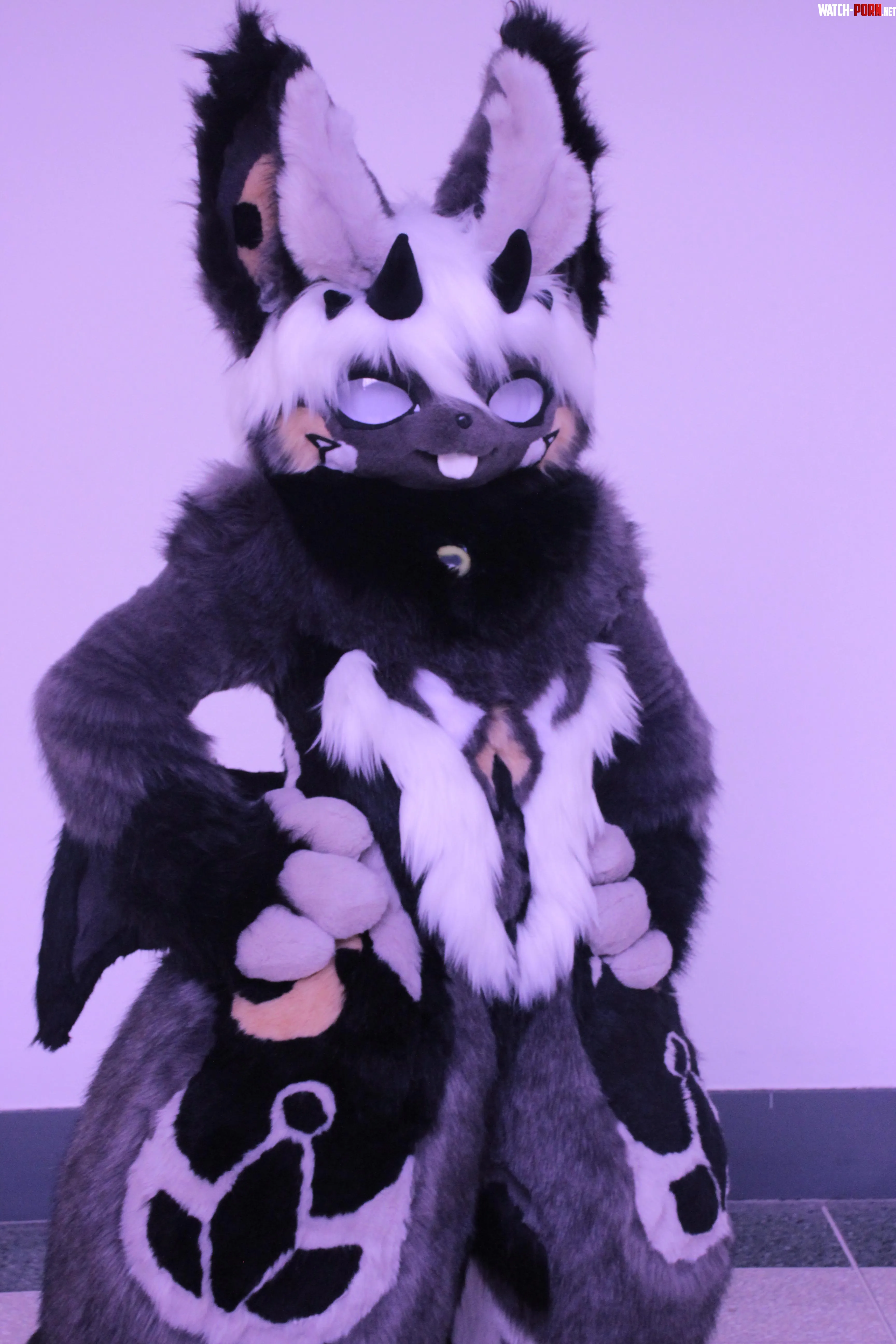 Im a bit late to Fursuit Friday posting oops by lilpixiekitten